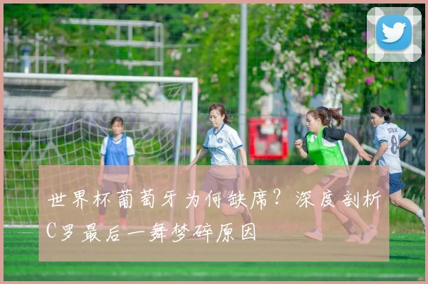 乐鱼官网