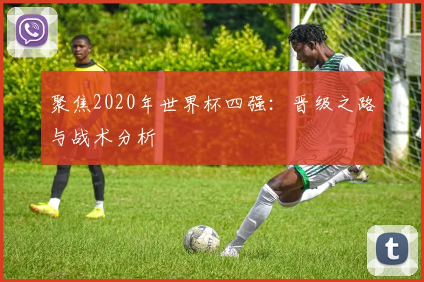 聚焦2020年世界杯四强：晋级之路与战术分析